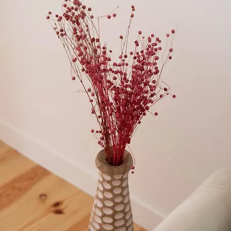 Cozy Bohemian Flat- Berry * Lisbon